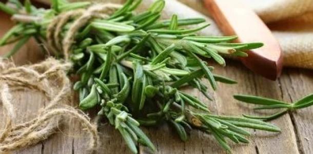 من مطبخك.. عشبة تساعد فى تعزيز الذاكرة وتقليل القلق والوقاية من الزهايمر