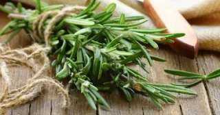 من مطبخك.. عشبة تساعد فى تعزيز الذاكرة وتقليل القلق والوقاية من الزهايمر