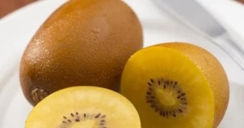 اليوم الاخباري