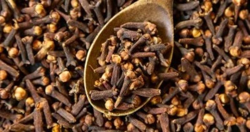 اليوم الاخباري