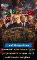 تحالف مصري سعودي تركي باكستاني