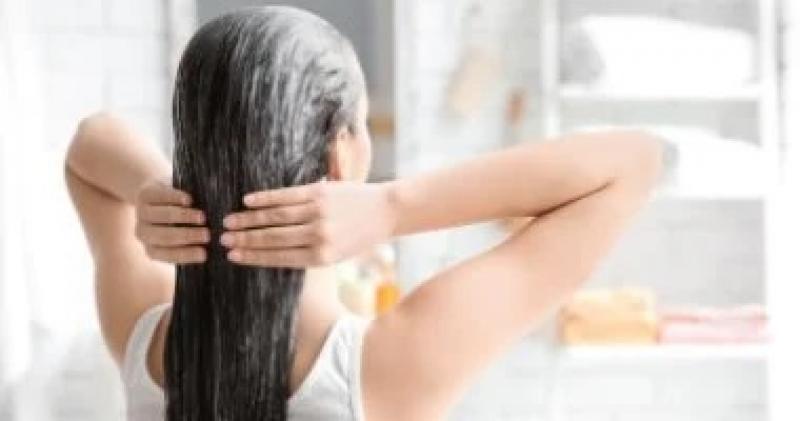 اليوم الاخباري