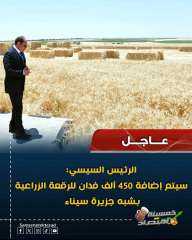 الرئيس السيسي اضافه 450الف فدان لمصر
