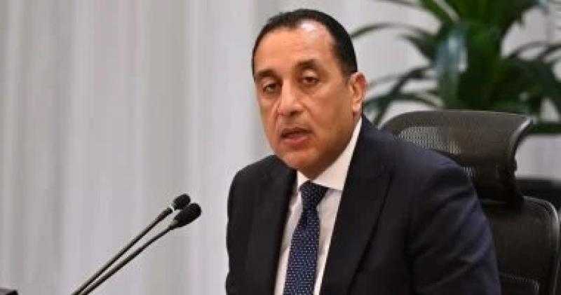 رئيس الوزراء يصدر قرارا بتحديد سعر بيع الغاز المورد لصناعة البتروكيماويات