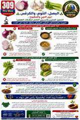 الوجبات المصريه وسر الخضروات