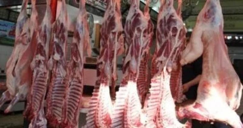 اليوم الاخباري