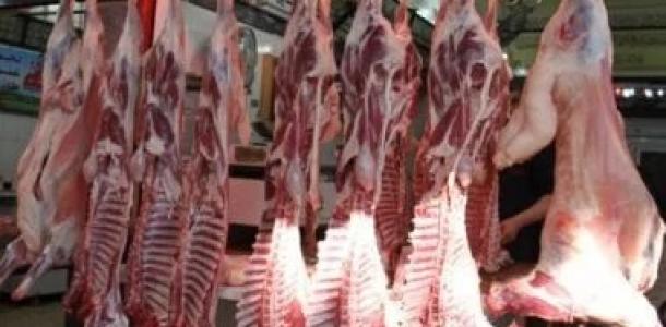 هل الضانى مضر بالصحة؟..القومى للبحوث يجيب على أسئلة تناول اللحوم فى العيد