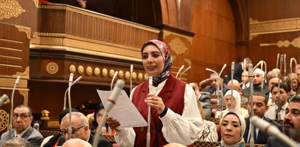 النائبة بسمة هنداوي الي ياكل من فأسه قرارة من رأسة