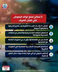 وزارة الصحة تقدم 5 نصائح لمنع توالد البعوض خلال فصل الصيف