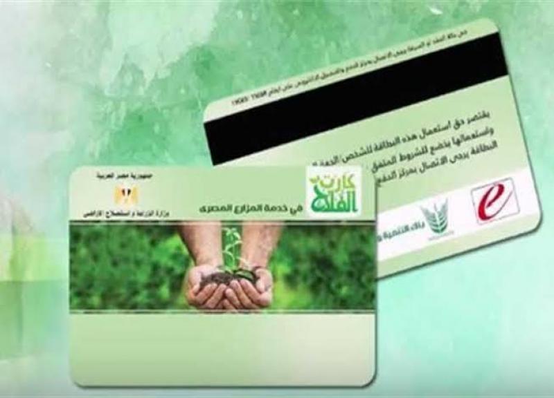 اليوم الاخباري