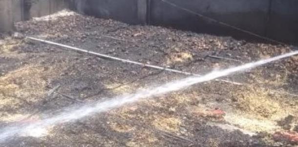 حريق يلتهم 2000 فرخة داخل مزرعة بأبوصوير فى الإسماعيلية