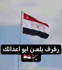 لماذا يتنصل الجميع من ضرب ميناء دمياط
