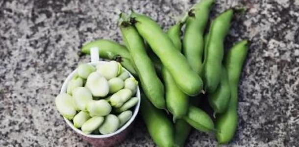 اكتشف | فوائد لا تعرفها عن الفول الحراتي