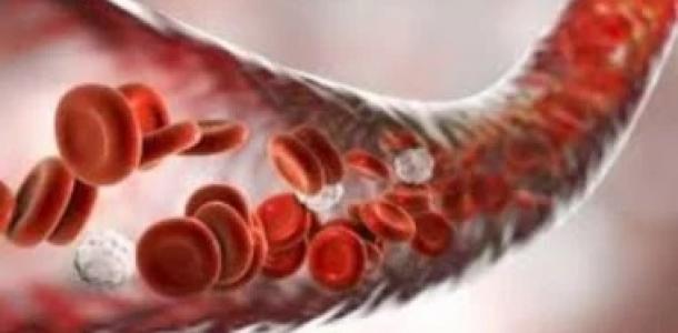هل تتناول أطعمة غنية بالحديد.. إضافة بسيطة لحصد فوائده