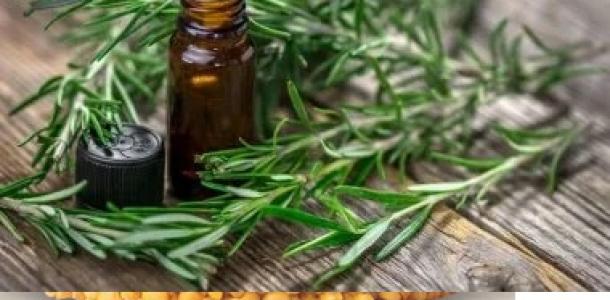 طريقة تحضير وصفة زيت الروزمارى لتكثيف الشعر وإنبات الفراغات.. خطوات سهلة