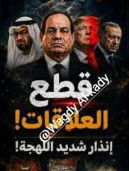 مصر توجه إنذار سياسيا عبر منافذها السياسية في العالم