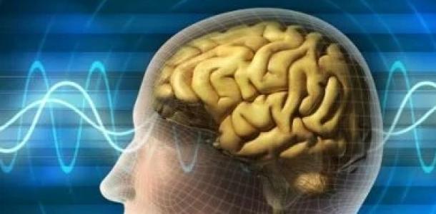 10 دقائق يوميًا لتحسين الذاكرة.. عادات بسيطة تقلل من خطر الإصابة بالخرف