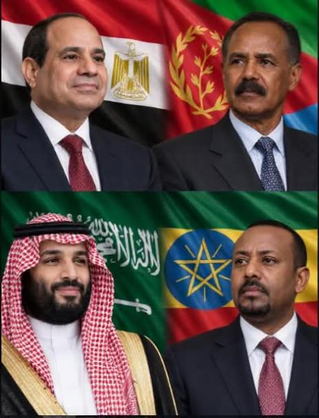 الحروب التي تحدث في الشرق الأوسط تضر بمصالح مصر 
