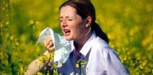 حمى القش فى الخريف.. لماذا تزداد أعراض الحساسية وطرق السيطرة عليها؟