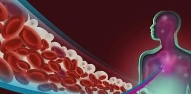 الدهون الثلاثية المرتفعة.. 5 تغييرات في حياتك تساعد على خفضها