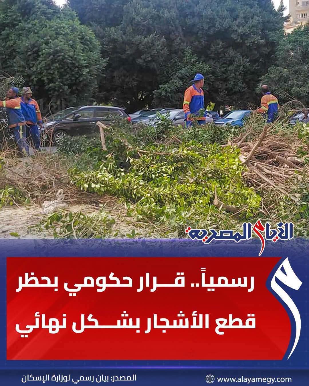 75536dda7638.jpg